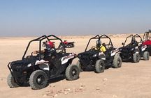 Exciting Buggy Adventure in Palmeraie with Transfers - Marrakesh