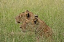 3 Days Murchison Falls National Park with Bigfive