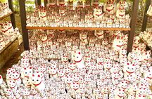 PM Tokyo Gotokuji Cat Temple Shinjuku Cat Cafe and 3D Cat Tour