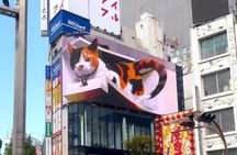 PM Tokyo Gotokuji Cat Temple Shinjuku Cat Cafe and 3D Cat Tour
