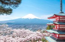 Mount Fuji and Hakone Private Tour With Pick And Drop