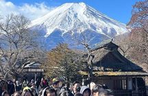 Mount Fuji and Hakone Private Tour With Pick And Drop