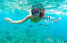 Semi-Submarine Snorkeling Trip Hola Hola Island, Lunch & transfer