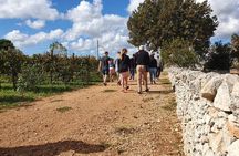 Alberobello Locorotondo and Wine Tasting - Guided Tour From Bari