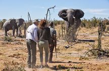 3 Day Etosha National Park Safari from Windhoek