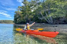 Guided Kayak Tour To Hope Island State Park