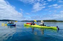 Guided Kayak Tour To Hope Island State Park