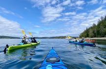 Guided Kayak Tour To Hope Island State Park