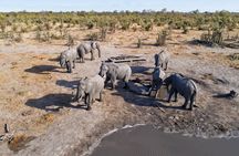 3 Day Etosha National Park Safari from Windhoek