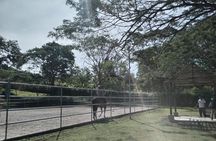 Equestrian classes - The Art of Riding a Horse