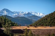 Atlas Mountains and Waterfalls Day Trip from Marrakech