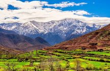 Atlas Mountains and Waterfalls Day Trip from Marrakech