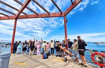 Visit Paracas Islas Ballestas Ica Huacachina 1 day trip