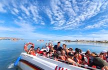 Visit Paracas Islas Ballestas Ica Huacachina 1 day trip