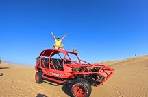Visit Paracas Islas Ballestas Ica Huacachina 1 day trip