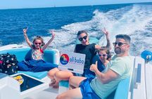 Speed Boat 4 Hours Swim Dolphin, Orange Island ,Snorkeling 