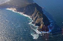Cape Point Cape of Good Hope and Penguins Private Tour