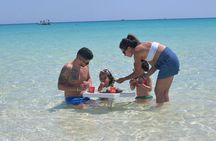 Speed Boat 4 Hours swimming with Dolphins,Snorkeling,White island