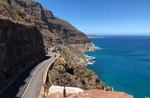 Cape Point Cape of Good Hope and Penguins Private Tour
