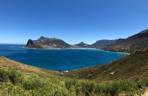 Cape Point Cape of Good Hope and Penguins Private Tour