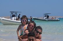 Speed Boat 4 Hours swimming with Dolphins,Snorkeling,White island