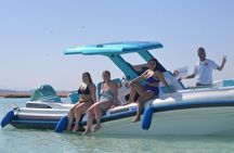  Speed Boat 4 Hours Dolphin House ,Snorkeling, White Island 