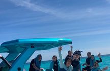 Speed Boat 4 Hours Swim Dolphins, Hula Hula , Snorkeling 