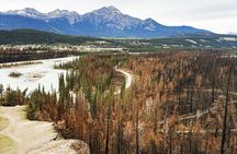 4 KM Wildfire Hike with Lunch in Jasper National Park