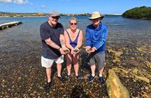Private Sea Glass Island Kayak Morning + Transfer