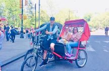 Central Park Guided Pedicab Tour in New York