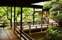 Tokyo: Amazing Shibamata