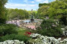 Central Park Private Pedicab Guided Tours 