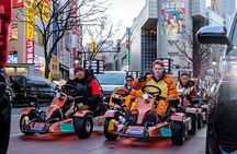 Shibuya / Shinjuku 90min Go Karting Tour - *IDP required!* 