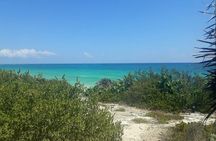 Cozumel: Private Jeep Tour, Mayan Ruins, Snorkeling & Lunch