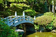 Tokyo: Step into tradition, sumo wrestlers and geisha