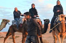  Drive Quad ride camel eat dinner ejoy fire show