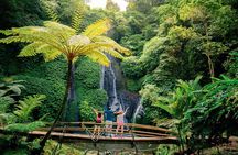 Bali Day Trip Hidden Waterfall Private Tour All Inclusive