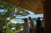 【Customizable】Okinawa Ishigaki Island Private Tour