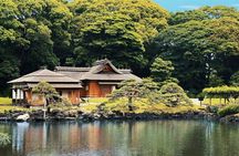 Tokyo Bay and Tsukiji Fish Market