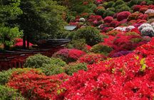 Tokyo: Yanaka and Ueno, the Tokyo of Tradition