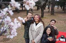 Matcha Picnic in Tokyo – A Unique Cultural Outdoor Experience
