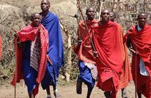 Amboseli day Tour in 4x4 Landcruiser