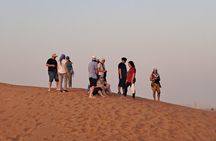 Desert Safari Tour Dubai Camel Ride and Buggy and Quad Biking