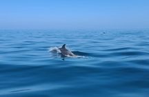 Guided Two hours Jetski Coastal Tour