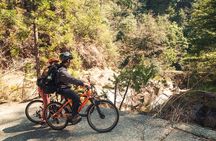 Inaka food and Ebike tour in Yuki
