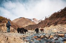 Full day trekking & Barbecue local experience