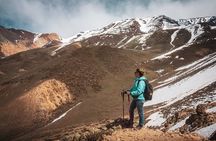 Full day trekking & Barbecue local experience