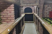  Wine & Olive Oil tasting one day private tour in Crete