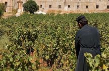  Wine & Olive Oil tasting one day private tour in Crete