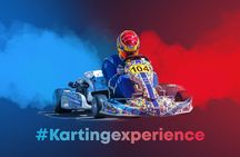 Experience the thrill of karting in Punta Cana